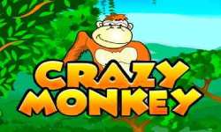 Crazy Monkey в онлайн казино First